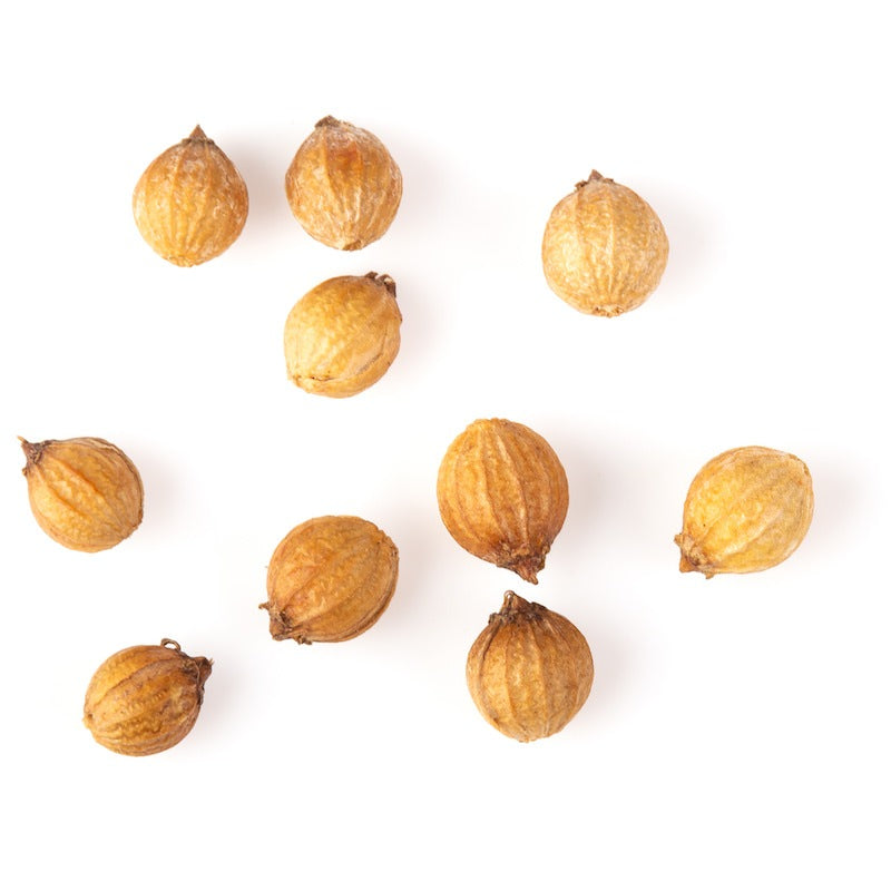 コリアンダーシード（CORIANDER）エッセンシャルオイル