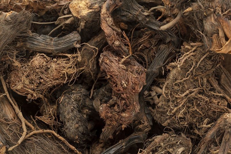 スパイクナード( Spikenard)エッセンシャルオイル – aromafactory